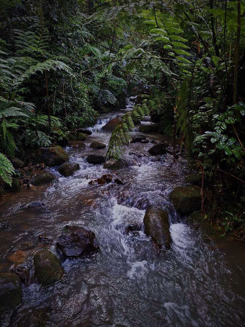 Sungai Halimun Salak 😜